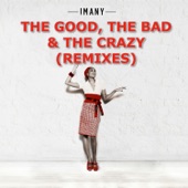 The Good, the Bad & the Crazy (Remixes) - EP artwork