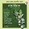 Pahar Dingiya Doriya Dingiya - Utpalendu Chowdhury lyrics