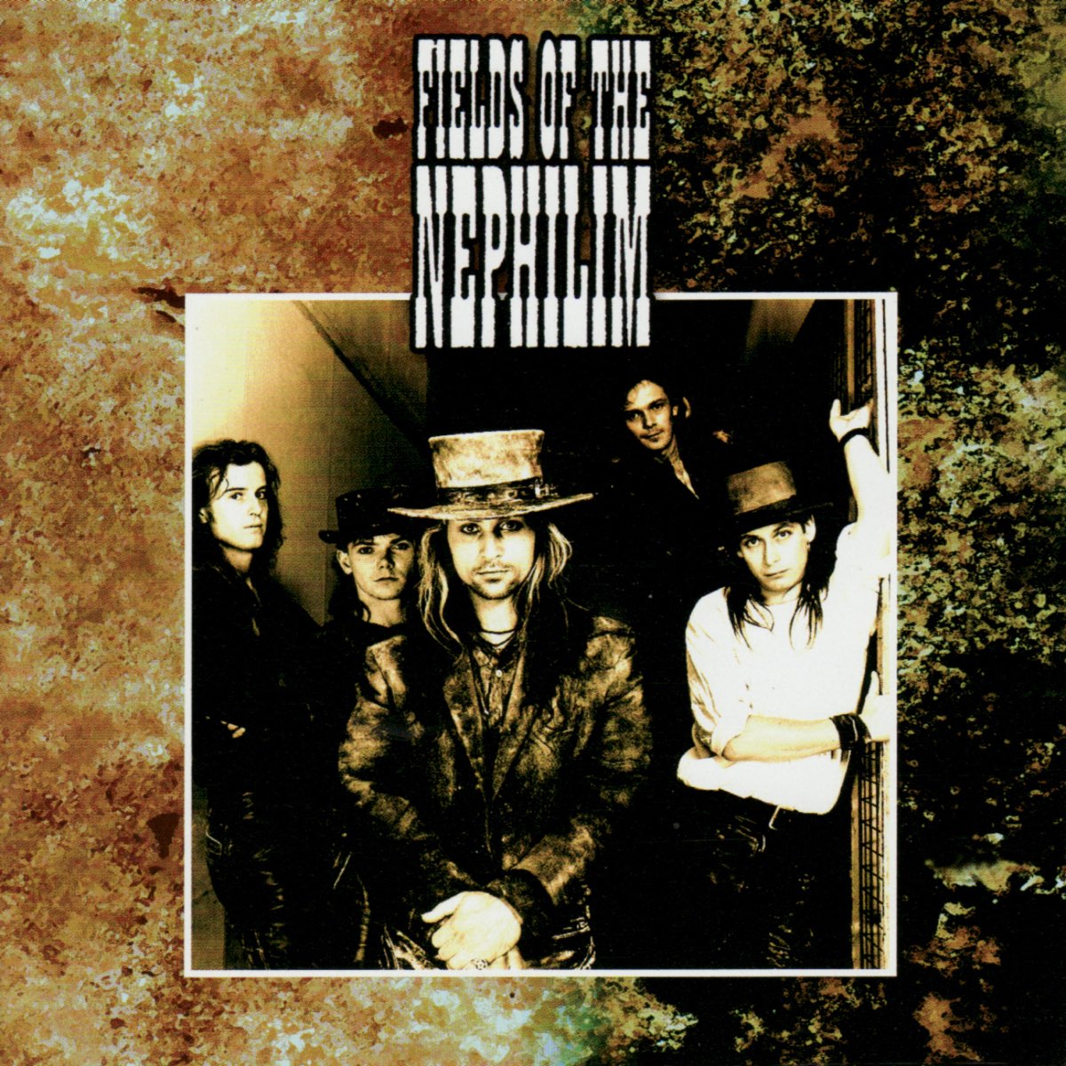 Fields of the nephilim. Fields of the Nephilim альбом. Fields of the Nephilim Dawnrazor. Обложки fields of the Nephilim.