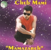 Cheb Mami - Viens Habibi (One World Mix)