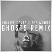 The Woods (Ghosts Remix) artwork