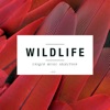 Wildlife - Unique Music Selection, Vol. 6