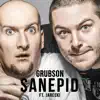 Sanepid (feat. Jarecki) - Single album lyrics, reviews, download