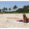 No Bail Music - No Way Out