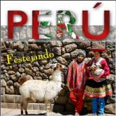 Música Peruana - Festejando artwork