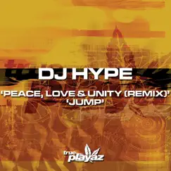 Peace, Love & Unity (Remix) [feat. MC Fats] Song Lyrics