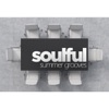 Soulful Summer Grooves