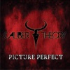 Picture Perfect - Single