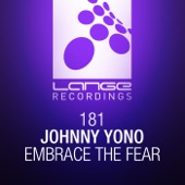 Embrace the Fear (Radio Mix) artwork