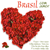 Brasil Com Amor - Bahia Pagode Tropical