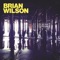 Guess You Had To Be There (feat. Kacey Musgraves) - Brian Wilson lyrics