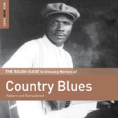 Rough Guide to Unsung Heroes of Country Blues - Multi-interprètes