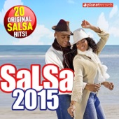 Salsa 2015 - 20 Original Salsa Hits! (Salsa Romántica y para Bailar: Puertoriqueña, Cubana, Dominicana, Colombiana, Venezolana) artwork