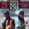 Positive Black Soul: 25 Years - EP