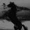 The Dark Horse - Robert S PT lyrics