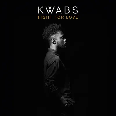Fight For Love - Single - Kwabs
