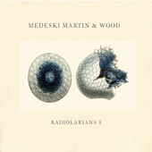 Medeski Martin & Wood - Sweet Pea Dreams