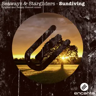 Sundiving - Single by Seawayz & Stargliders album reviews, ratings, credits