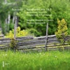 Svenska Kammarorkestern & Petter Sundkvist - Symphony No. 2 in B-Flat Major, D. 125: II. Andante
