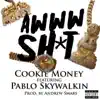 Awww Sh*t (feat. Pablo Skywalkin) - Single album lyrics, reviews, download