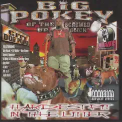 Hardest Pit In the Litter by Big Pokey album reviews, ratings, credits