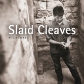 Slaid Cleaves - Horses