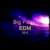 Big Party! EDM 2015 (38 Songs Clubbing Now Pop Party Smash Hits Pue Anthems Dance SubSoul Ibiza Miami Amsterdam) - Various Artists