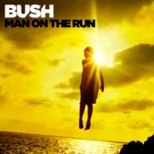 Man on the Run (Deluxe Version) artwork