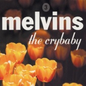 Melvins - Smells Like Teen Spirit
