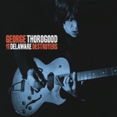 George Thorogood & The Delaware Destroyers - Kind Hearted Woman