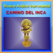 Camino del Inca artwork