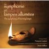La Symphonie Des Lampes Allumées (The Symphony of Burning Lamps), 2014