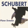 Heino Schwarting - Piano Sonata No. 4 in A Minor, D. 537: I. Allegro ma non troppo