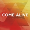 Come Alive, 2015