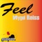 Feel - Nygel Reiss lyrics