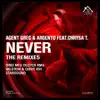 Stream & download Never (feat. Chrysa T.) [The Remixes] - Single