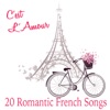 C'est l'amour : 20 Romantic French Songs