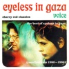 Voice - The Best of Eyeless In Gaza artwork