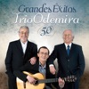 Grandes Êxitos – Trio Odemira – 50 anos