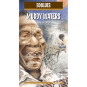 BD Music Presents Muddy Waters artwork