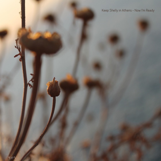 Cover artwork for Fractals