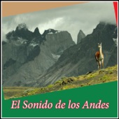 El Sonido de los Andes artwork