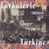 Türkülerle Türkiye - Erzincan, 2001