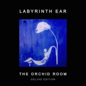 The Orchid Room (Deluxe Edition) artwork