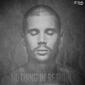 Nothing in Return artwork