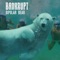 Bipolar Bear - Bankrupt lyrics