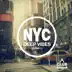 New York City Deep Vibes, Vol. 11 album cover