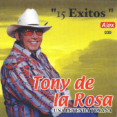 15 éxitos una leyenda texana - Tony de la Rosa