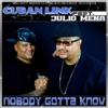 Nobody Gotta Know (feat. Julio Mena) [Remixes], 2015