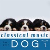 Classical Music for Your Dog 1